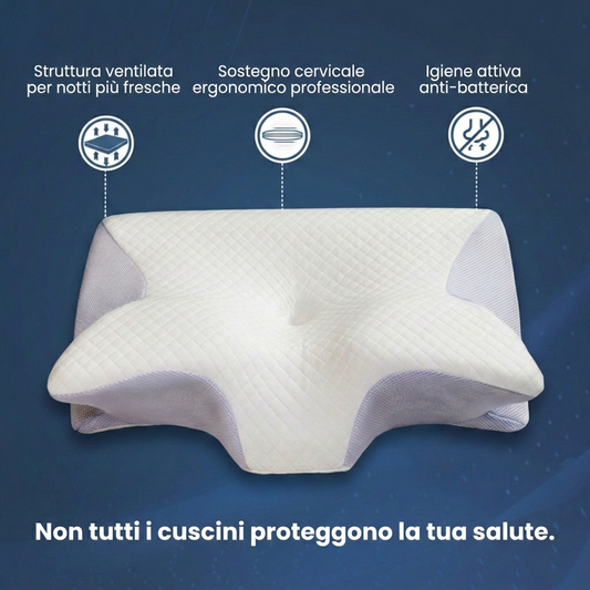 Culotte